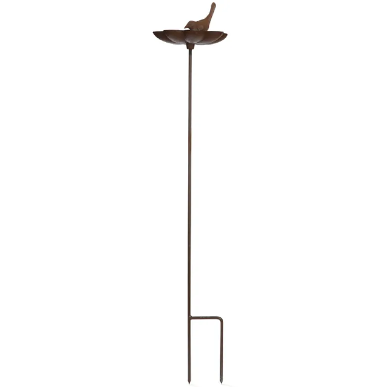 Abreuvoir et baignoire pour oiseaux