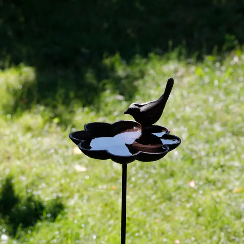 Abreuvoir et baignoire pour oiseaux