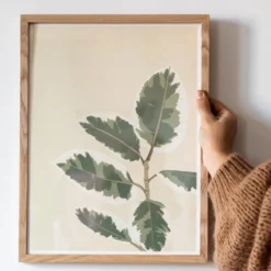 Affiche ficus el tineke