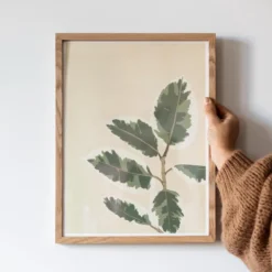 Affiche ficus el tineke