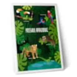 Affiche nature - animaux d'amazonie
