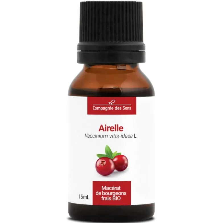 Airelle - macérat de bourgeons bio 15ml 15