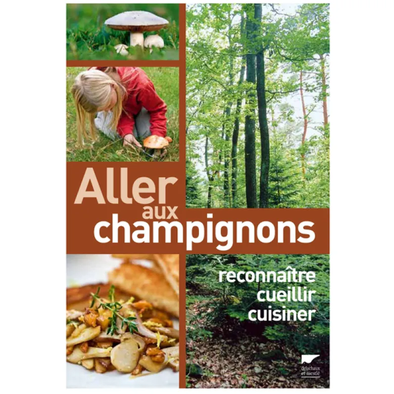 Aller aux champignons
