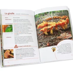 Aller aux champignons