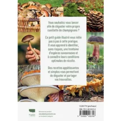 Aller aux champignons