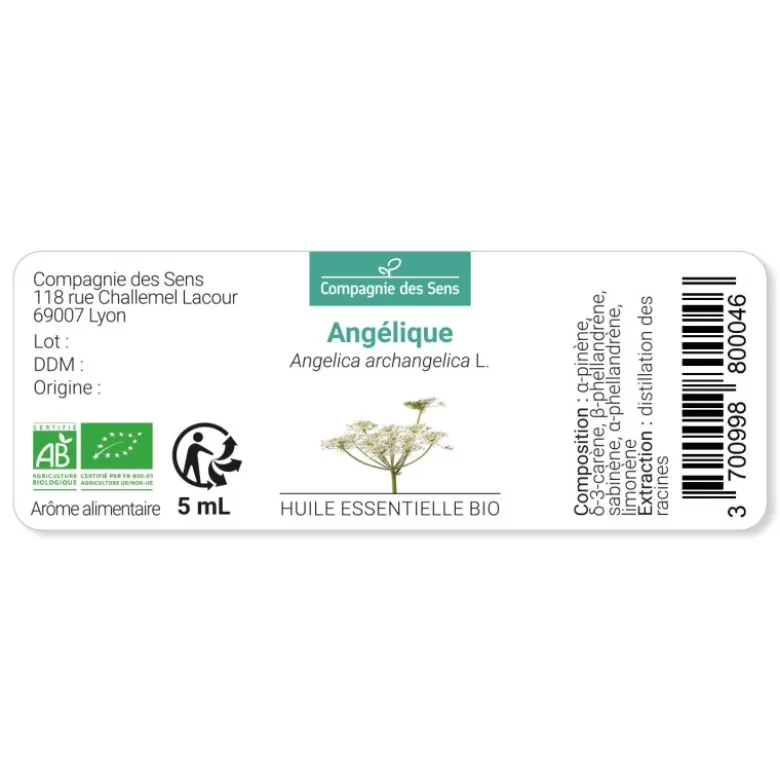 Angélique (angelica archangelica) - huile essentielle bio - 10ml garantie chroma