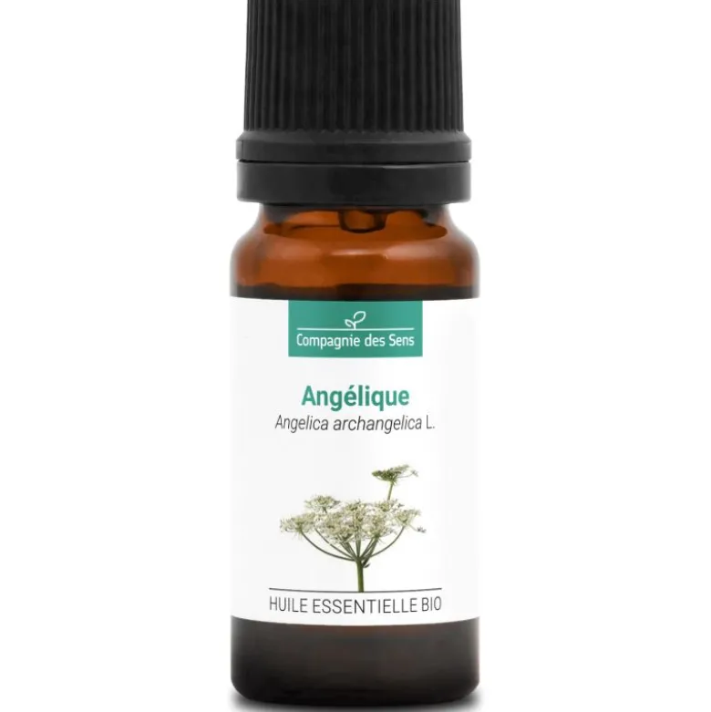 Angélique (angelica archangelica) - huile essentielle bio - 10ml garantie chroma
