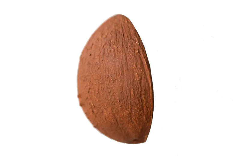 Anneau de dentition coco la noix de coco
