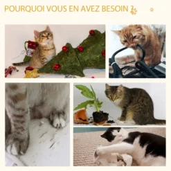 Arbre à chat multi-équipement h81 cm aspect bois clair