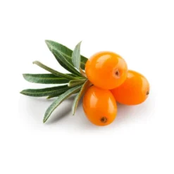 Argousier (pulpe) - huile végétale vierge bio - 30ml - flacon en verre