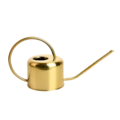 Arrosoir en inox 1.1l - doré