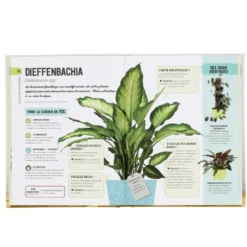 Arrêtez d'assassiner vos plantes