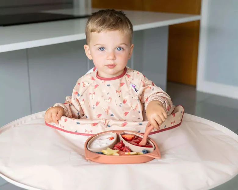Assiette à compartiments ventousée