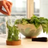 Atelier - crème plantes sauvages - paris