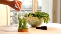 Atelier - crème plantes sauvages - paris