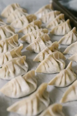 Atelier - gyoza - nantes