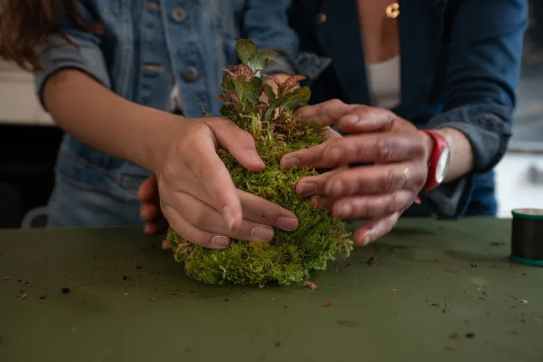 Atelier - kokedama - nantes