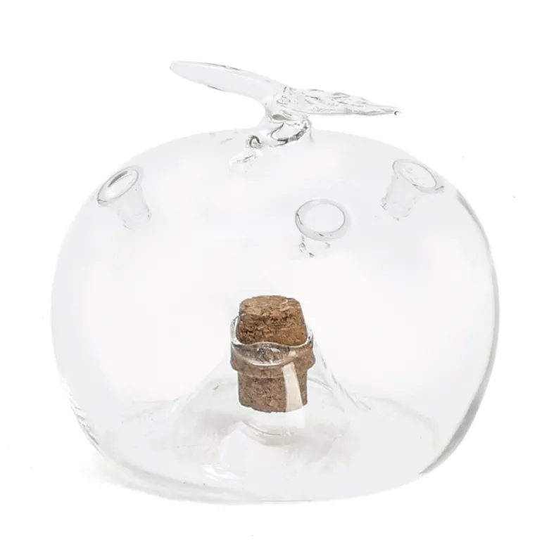 Attrape-mouches des fruits en forme de pomme verre et liège