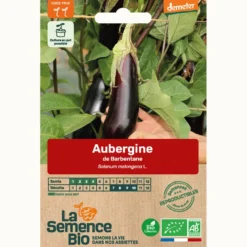 Aubergine de barbentane bio
