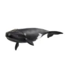 14878 baleine de l'atlantique