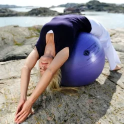 Ballon de gymnastique securemax violet