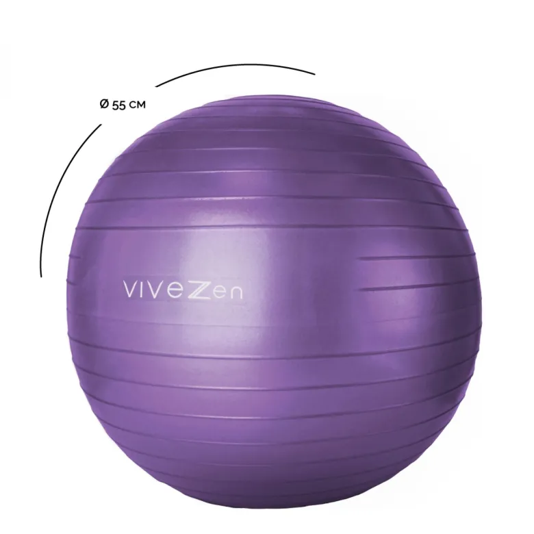 Ballon de yoga - 55 cm - violet