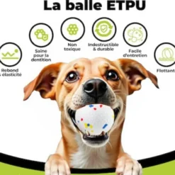 Ballouf - lanceur de balle auto pour chiens