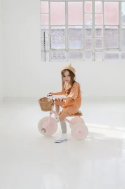 Banwood tricycle rose