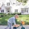 Banwood tricycle vert foncé
