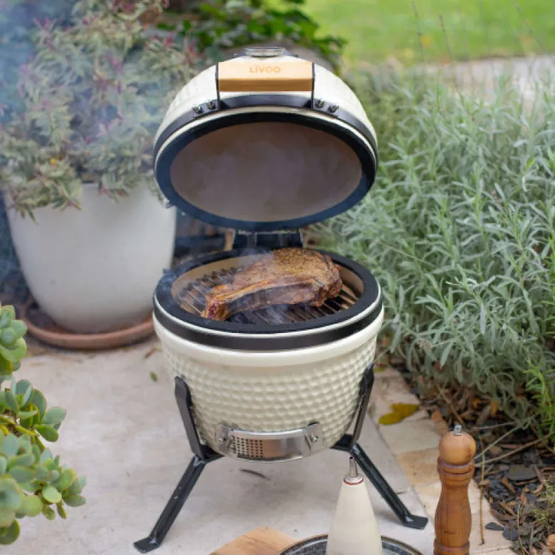 Barbecue fumoir céramique kamado champag