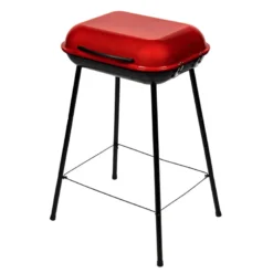 Barbecue holiday grill