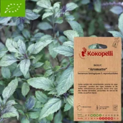 Basilic aromatto- graines bio à semer