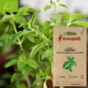 Basilic tulsi kali- graines bio à semer