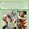 Baume chien naturel & bio, soin pattes & truffe hydratant anti-démangeaison