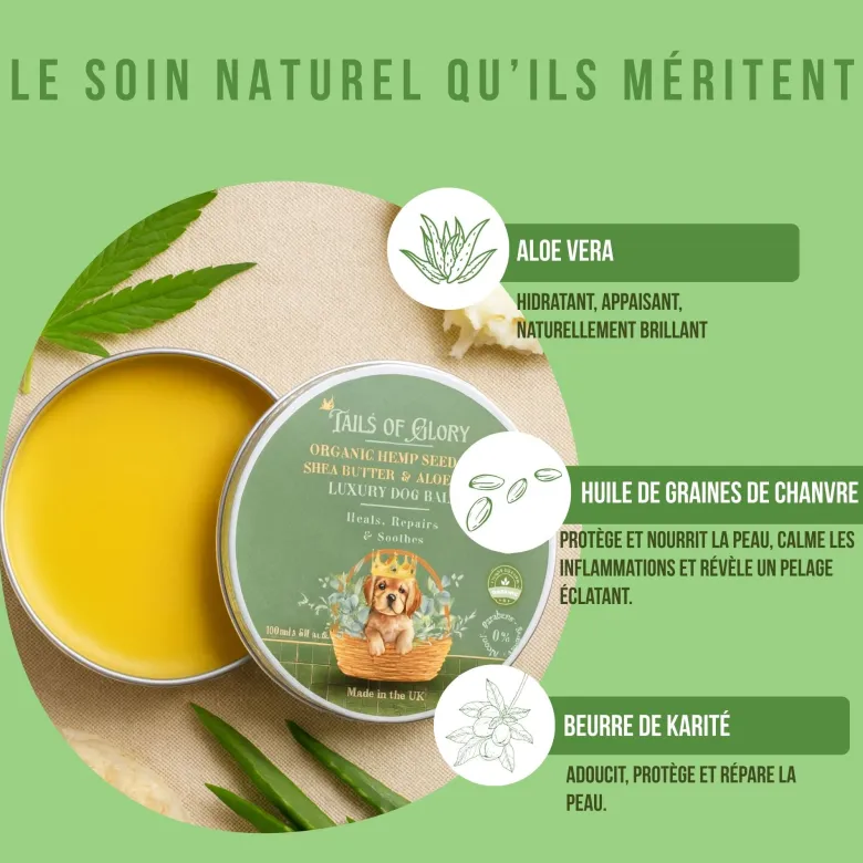 Baume chien naturel & bio, soin pattes & truffe hydratant anti-démangeaison
