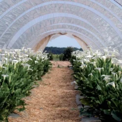 Bâche de protection 4x6 m 160 g-m2