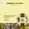 Biofloral - bon élève gommes - bio