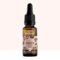 Biofloral - fleur de bach n°05 cerato, plumbago - bio demeter