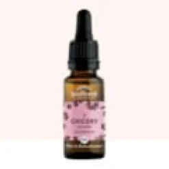 Biofloral - fleur de bach n°08 chicory, chicorée - bio demeter