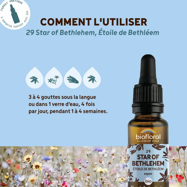 Biofloral - fleur de bach n°29 star of bethlehem, étoile de bethléem - demeter