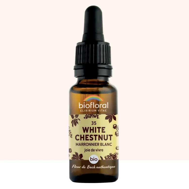 Biofloral - fleur de bach n°35 white chestnut, marronnier blanc - bio demeter