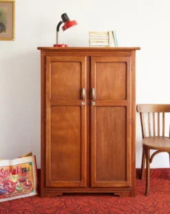 Blandine, l'armoire en bois n°466