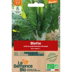 Blette carde blanche d'ampuis bio