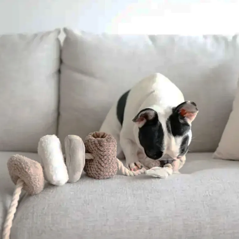 Bloocs, jouet chien set 4 blocs à mâcher