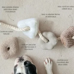 Bloocs, jouet chien set 4 blocs à mâcher