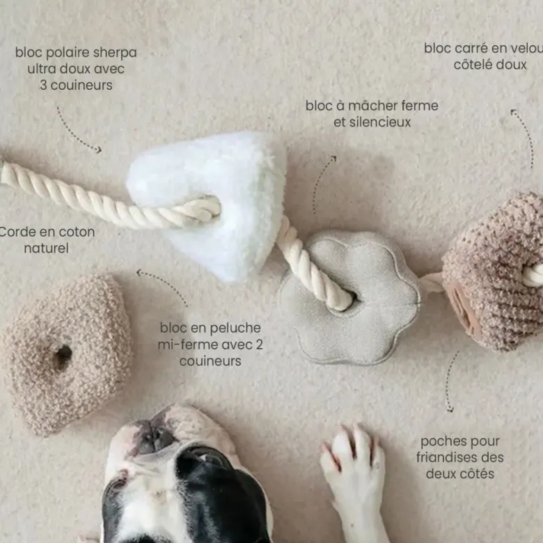 Bloocs, jouet chien set 4 blocs à mâcher