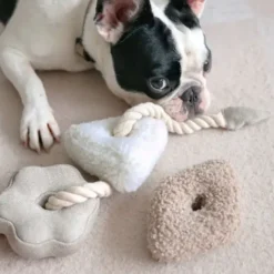 Bloocs, jouet chien set 4 blocs à mâcher