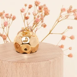 Bola moon sur chaîne
