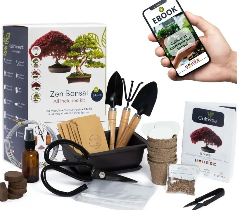 Bonsai premium - kit complet