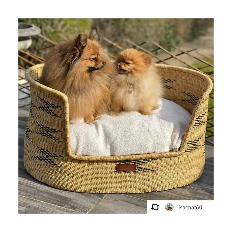 Bora, panier chien herbe naturelle m